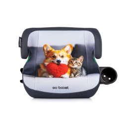 GO BOOST CORGI