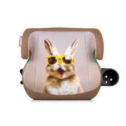 GO BOOST RABBIT
