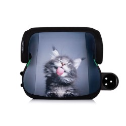 GO BOOST ISO CAT