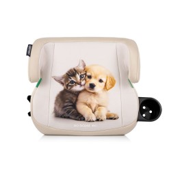 GO BOOST ISO KITTEN & PUPPY